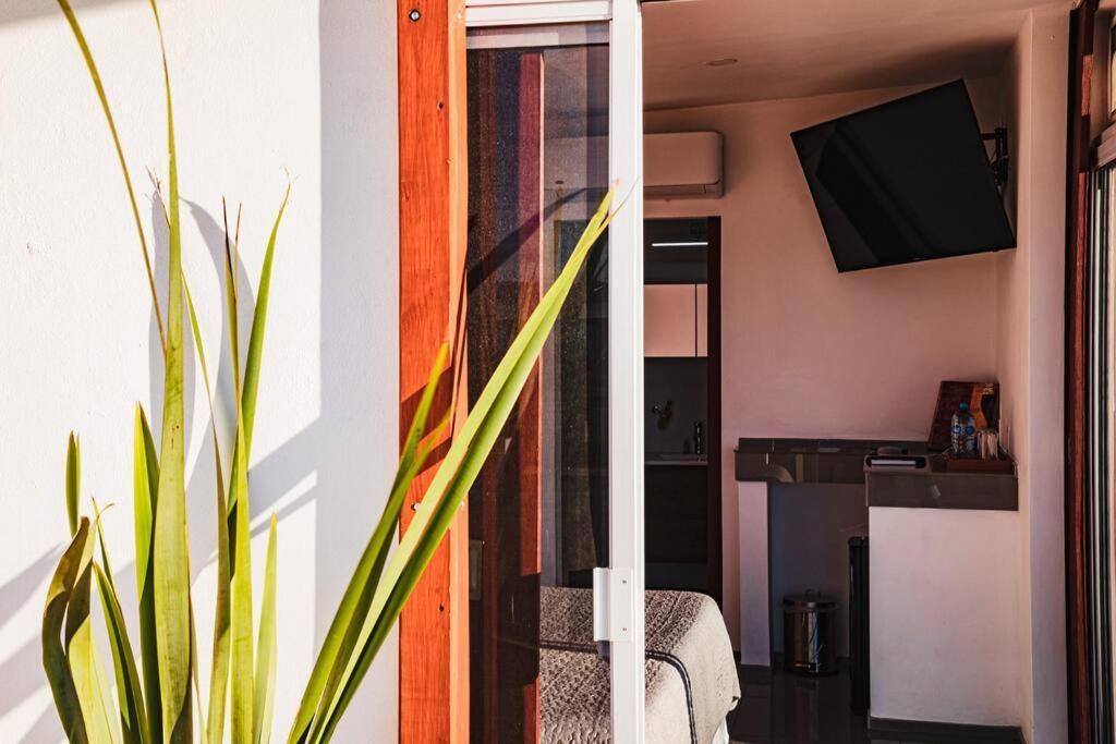 Cabana El Alamo Con Jacuzzi Villa Valle de Guadalupe Bagian luar foto